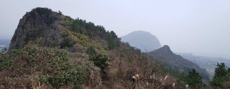 서귀포 대정읍 바굼지오름(단산) 전 코스를 걷다