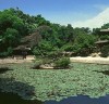 한국의 궁실 건축 - 창덕궁 비원(昌德宮 秘苑)