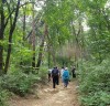 피톤치드 뿜뿜 서울대공원 산림욕장 둘레길, 가을 은행나무 길은 환상